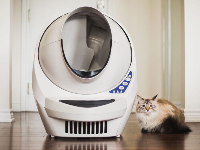 Quels sont les avantages des litières automatiques pour chat ?