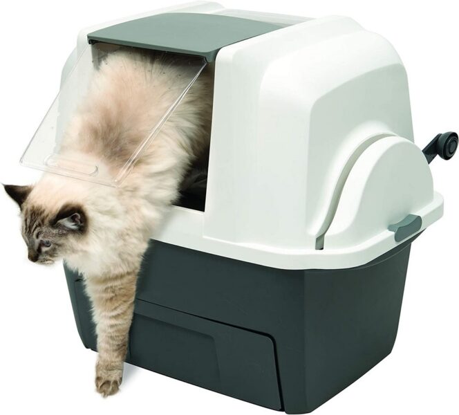 Quels sont les facteurs à prendre en compte lors de l’achat d’une maison de toilette pour chat autonettoyante ?